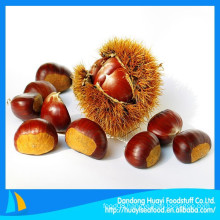 Natual green chestnut 2014 New crop fresh chestnut China